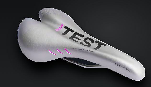 Fizik test 2025 saddle